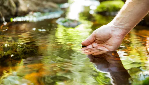 image of hand in water
